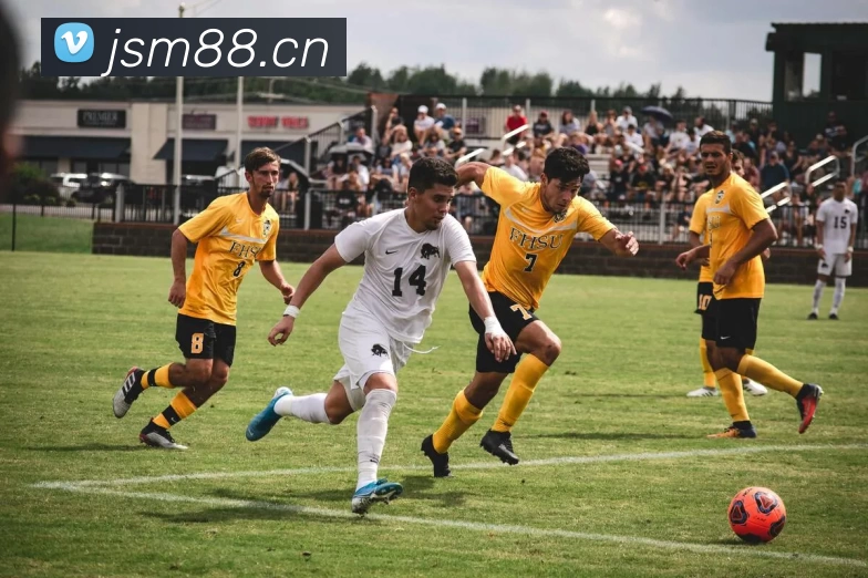 凯发·k8(国际)官方网站APP 封面图